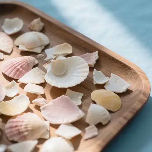 seashell-1.webp